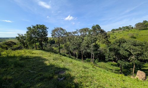 PXL_20250205_122445638