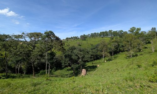 PXL_20250205_122449869