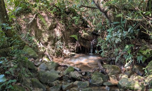 PXL_20250205_122914948.MP