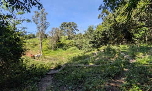 PXL_20250205_123904227