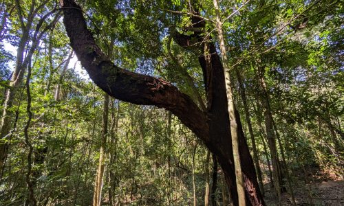 PXL_20250205_124211734