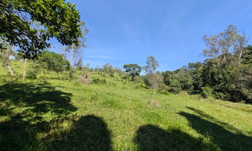 PXL_20250205_124610739