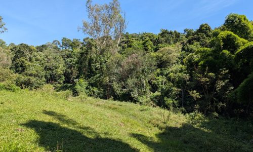 PXL_20250205_124614927