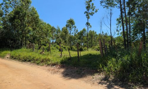 PXL_20250205_132122909