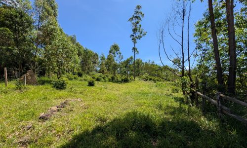 PXL_20250205_132201689