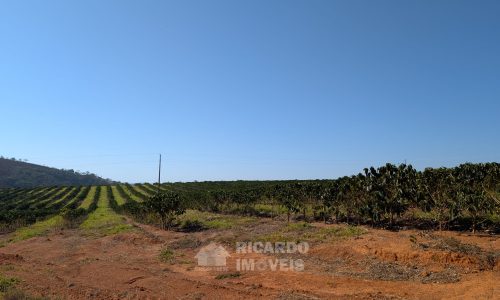 PXL_20250822_120700232