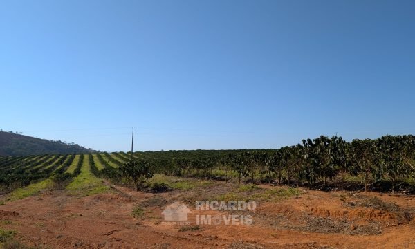 PXL_20250822_120700232