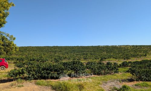 PXL_20250822_121014226