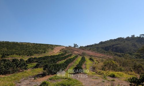 PXL_20250822_121022743