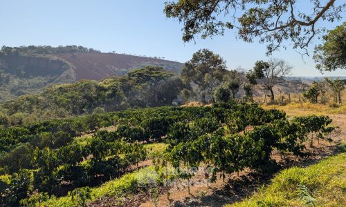 PXL_20250822_121101383.MP