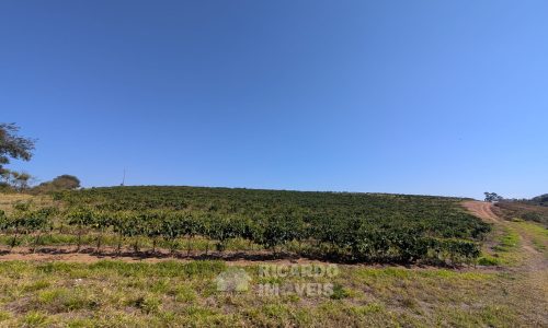 PXL_20250822_121158605