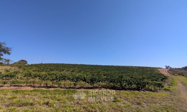 PXL_20250822_121158605