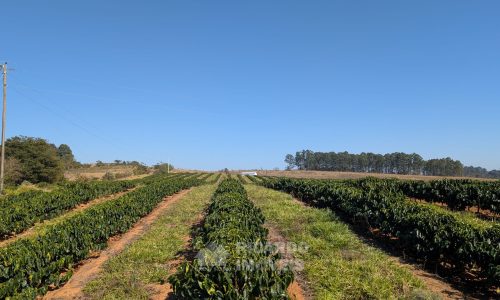 PXL_20250822_121332004