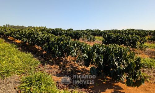 PXL_20250822_121359214