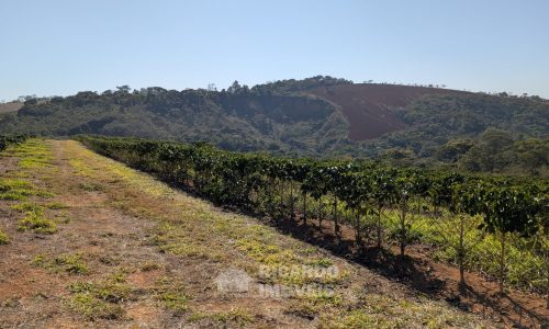 PXL_20250822_121403183.MP