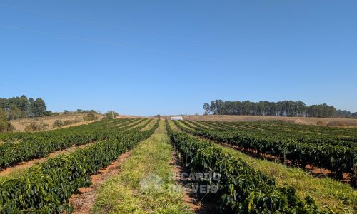 PXL_20250822_121427083