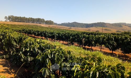 PXL_20250822_121436077.MP