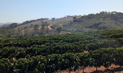 PXL_20250822_121808631.MP