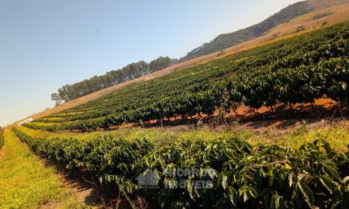 PXL_20250822_121815184.MP