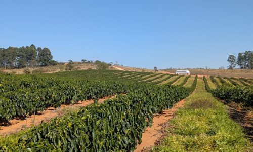 PXL_20250822_122150217