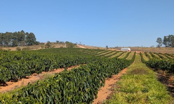 PXL_20250822_122150217