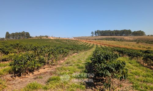 PXL_20250822_122512188