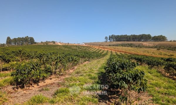 PXL_20250822_122512188