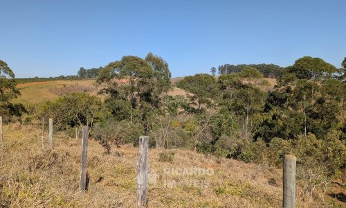 PXL_20250822_123213318