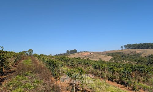 PXL_20250822_123559465