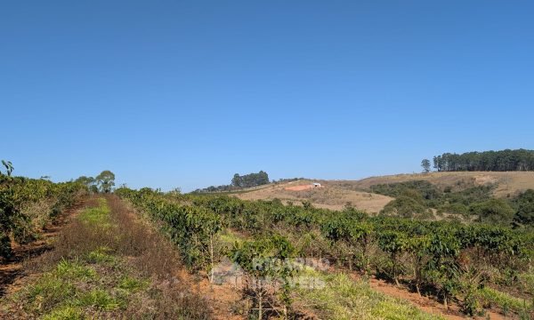PXL_20250822_123559465