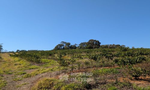 PXL_20250822_123602618