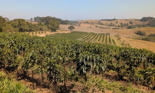 PXL_20250822_124313328