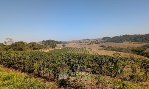 PXL_20250822_124315505