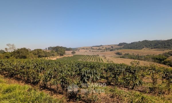 PXL_20250822_124315505
