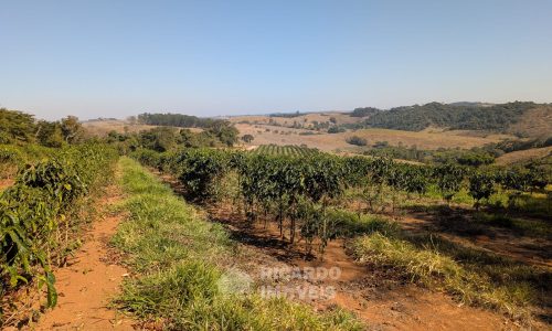 PXL_20250822_124458387