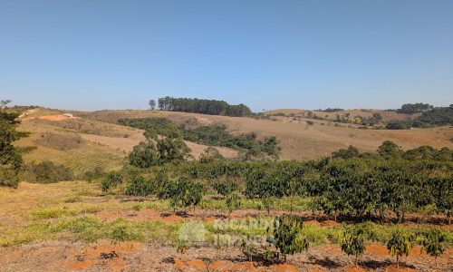 PXL_20250822_125307807