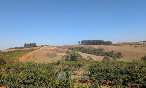 PXL_20250822_125326815