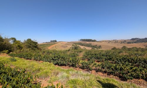 PXL_20250822_125335323