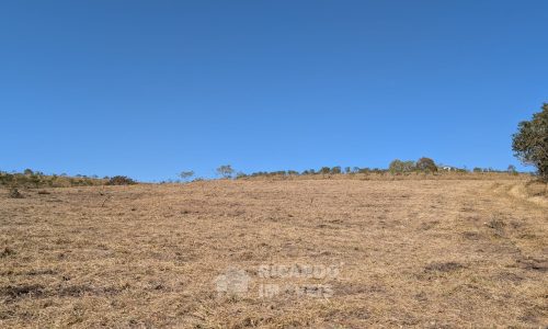 PXL_20250822_130114123