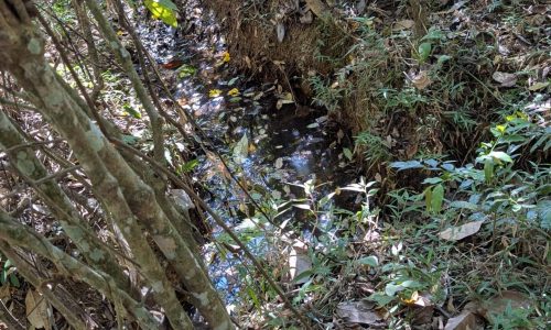 PXL_20250822_130234382