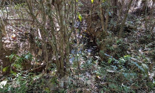 PXL_20250822_130236650