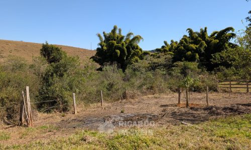 PXL_20250822_131457246