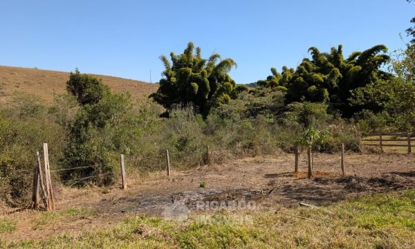 PXL_20250822_131457246