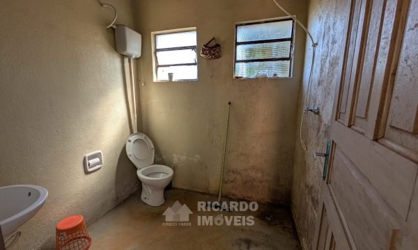 PXL_20250822_131636597