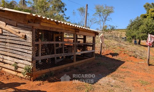 PXL_20250822_131807390