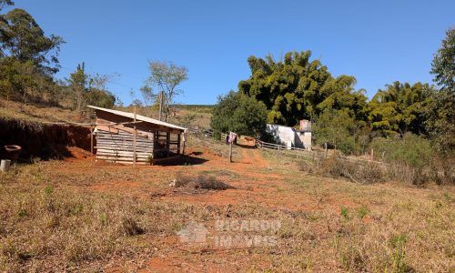 PXL_20250822_131848080