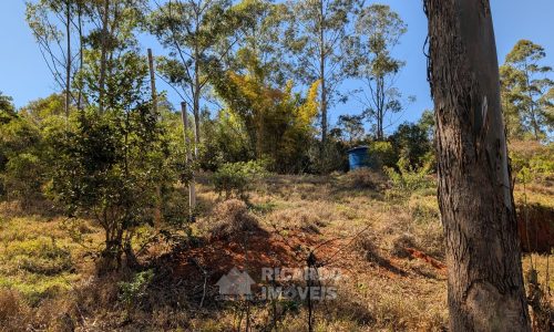 PXL_20250822_131902526