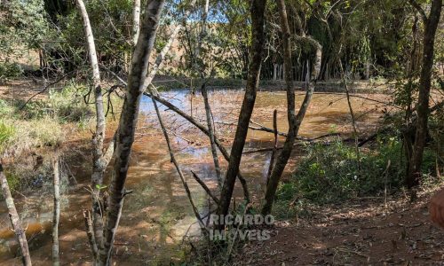 PXL_20250822_132021242