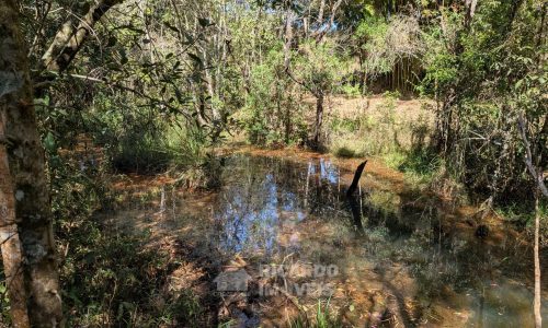 PXL_20250822_132024314