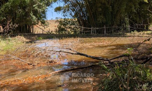 PXL_20250822_132043593